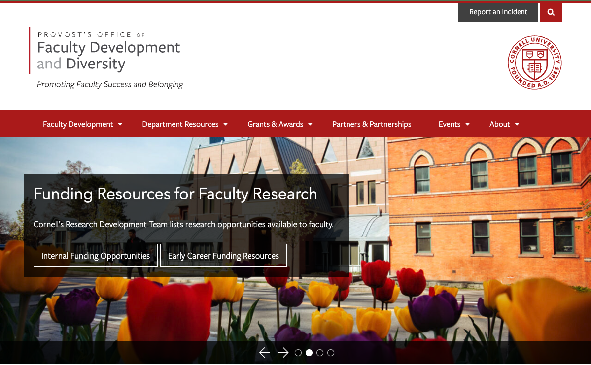 Office of Faculty Development & Diversity - Home